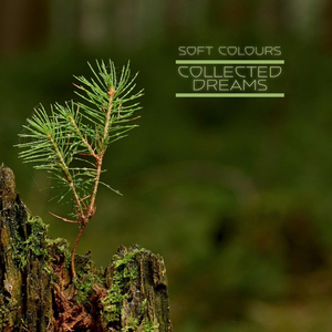 国产又爽又粗又猛又大又范冰冰
